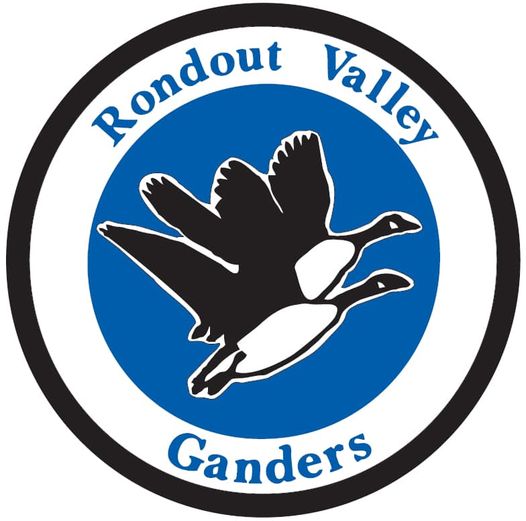 rondout valley gander mascot